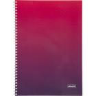   4 96 Attache   , 65, , -