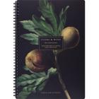  , BS, 4, 96., , , . Flora, , N4283