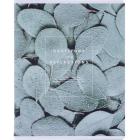  , BS, 5, 48., , . Botanica, .  N4169