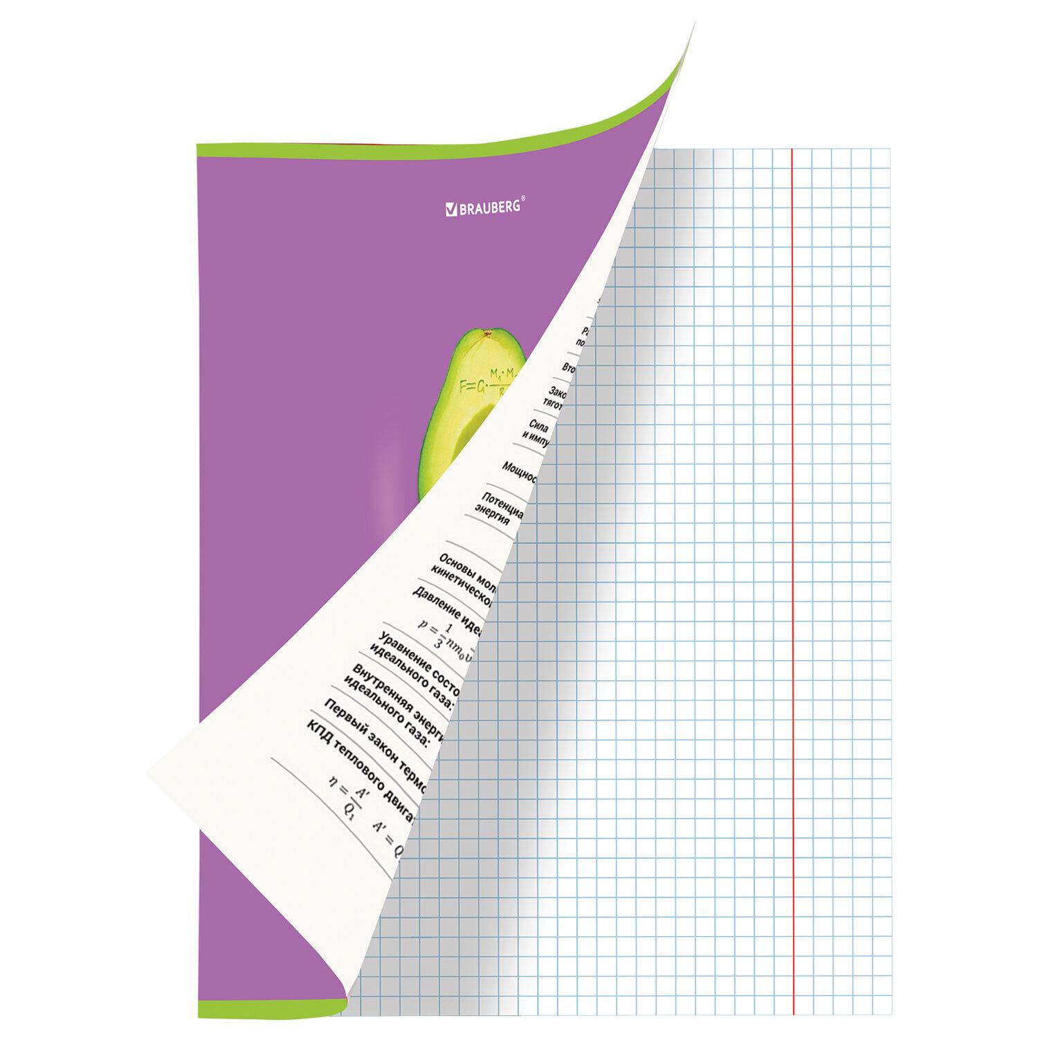   AVOCADO 48 .,  , , , BRAUBERG, 404283