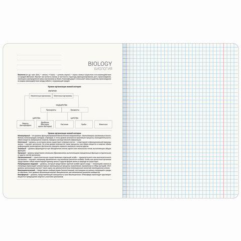 ������� ���������� BLOSSOM 48 �., ��������� ������, ��������, ������, ���������, BRAUBERG, 405593