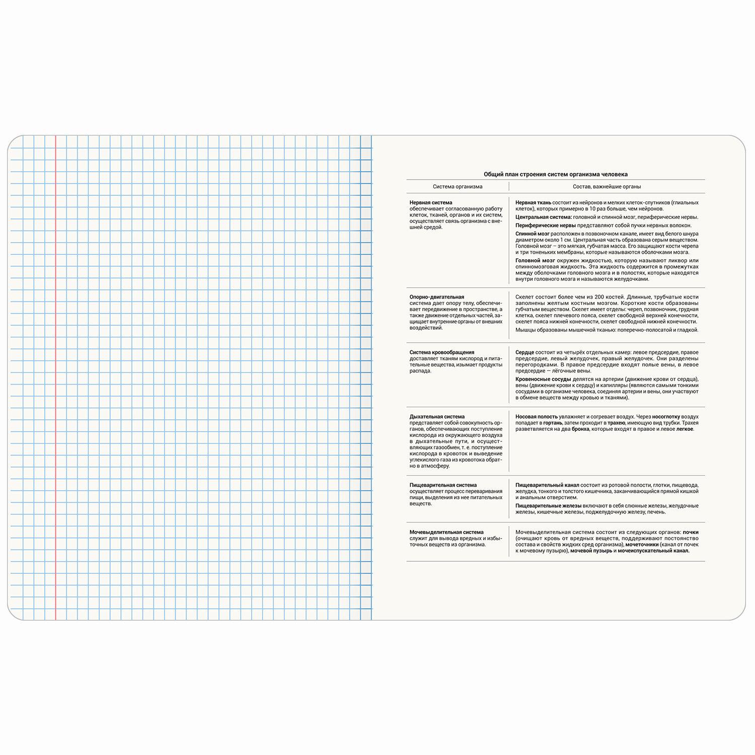   CREATIVE 48 .,  , , , , BRAUBERG, 405112