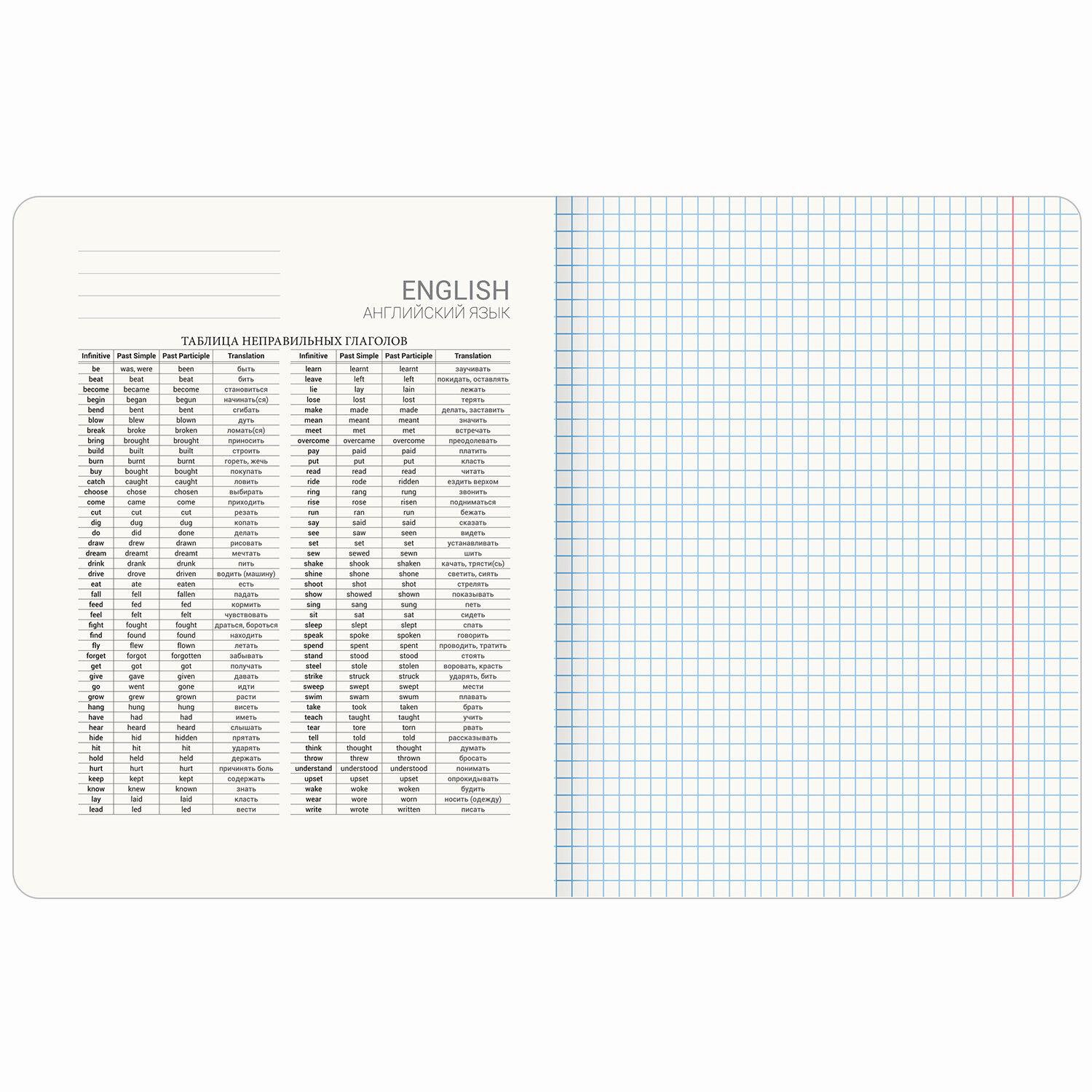    48 ., TWIN-,  , , , BRAUBERG, 405124