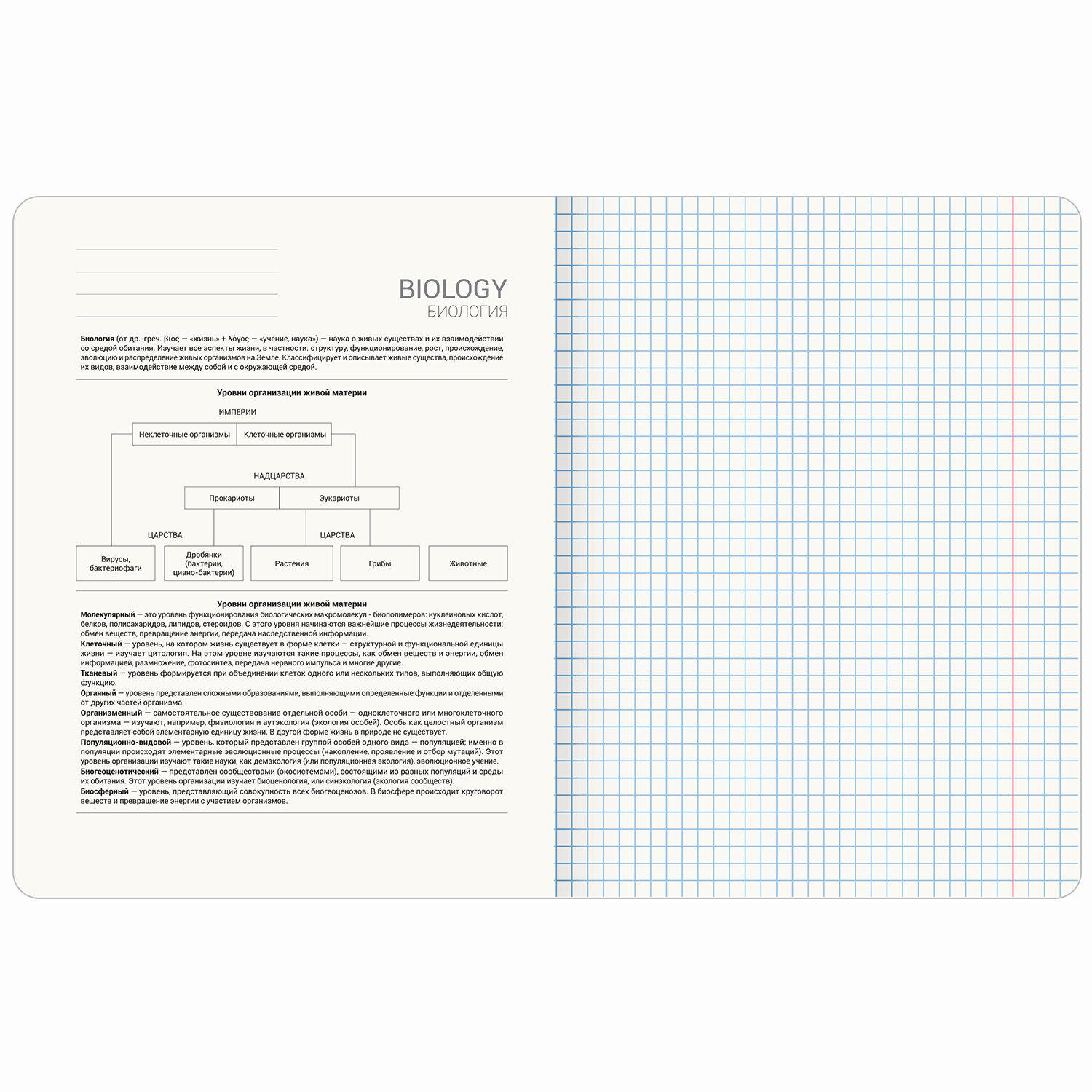    48 ., TWIN-, , , , BRAUBERG, 405125