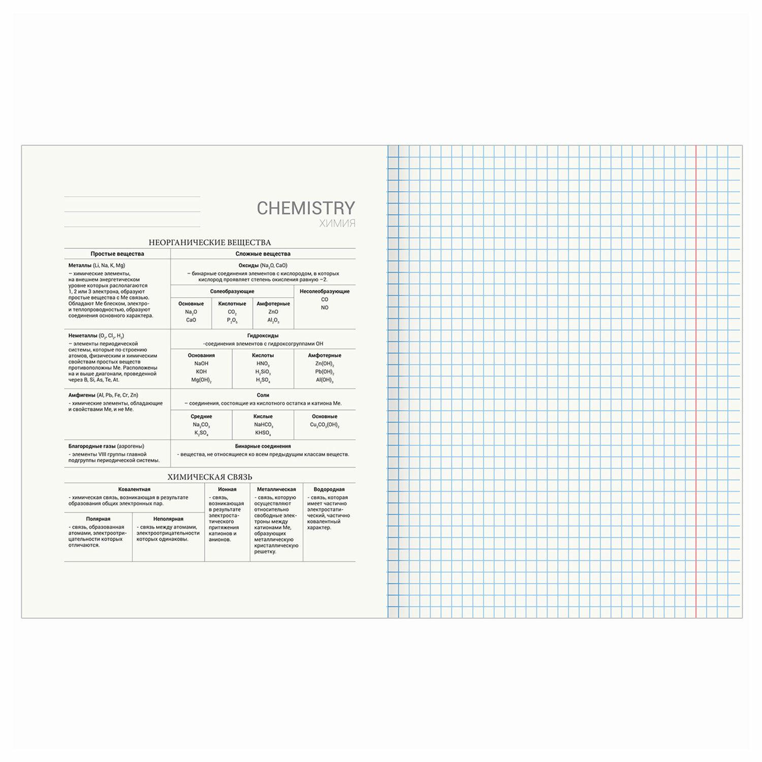   DELIGHT 48 .,  , , , BRAUBERG, 404579