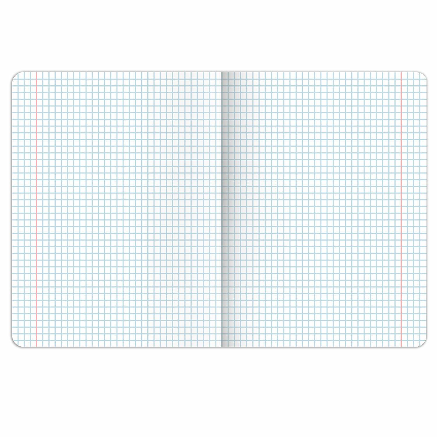 ������� ���������� DOG ����� 48 �., TWIN-���, �����������, ������, �������, BRAUBERG, 404788