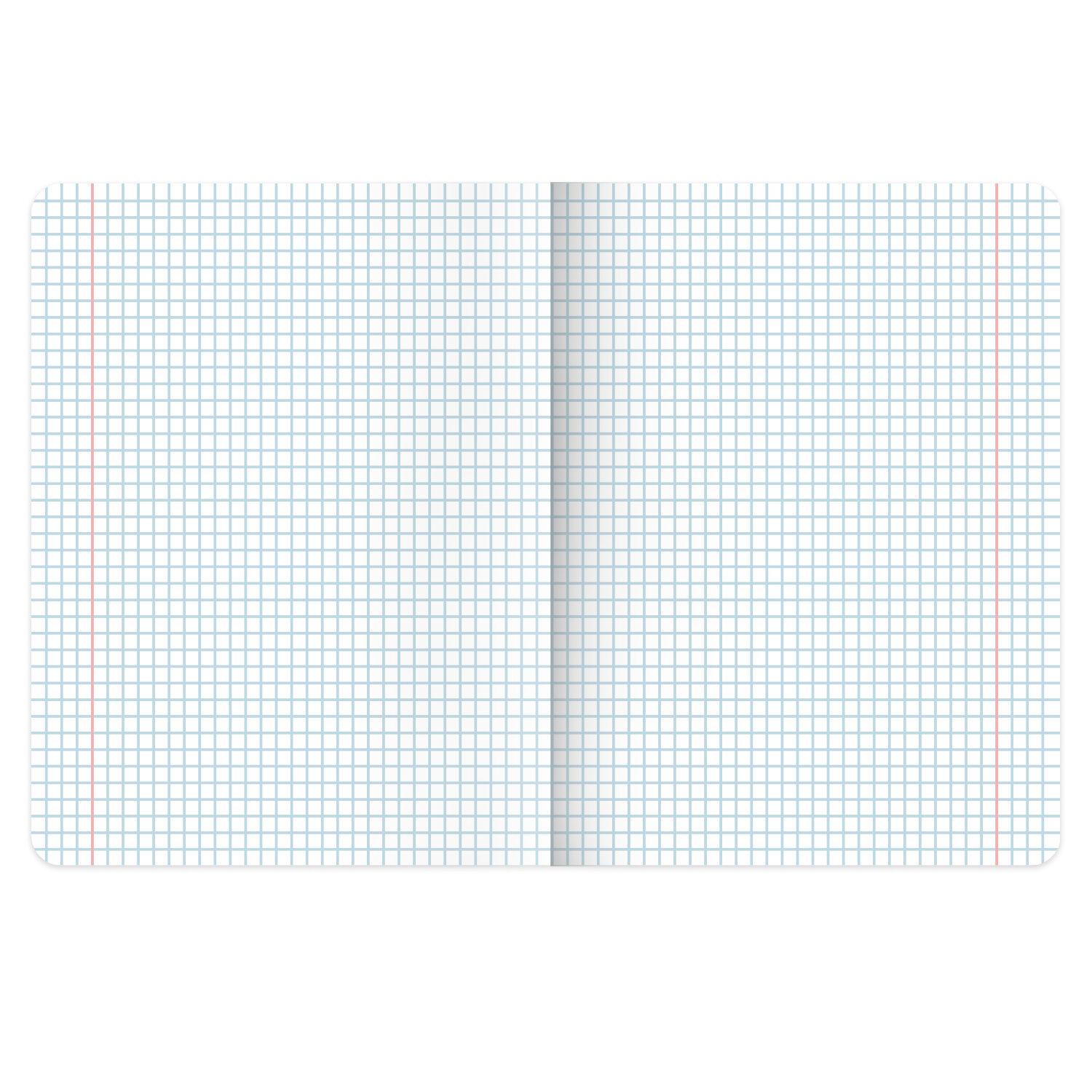     48,  , , , , BRAUBERG, 405083