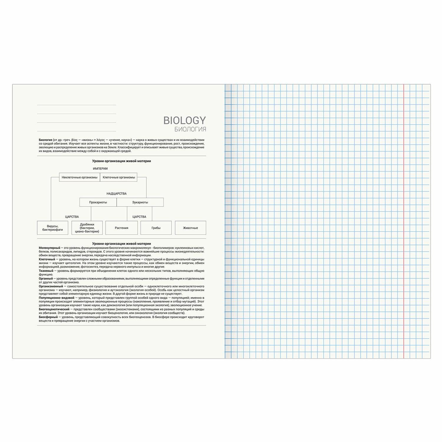    SCIENCE 48 .,  , , , , BRAUBERG, 404809