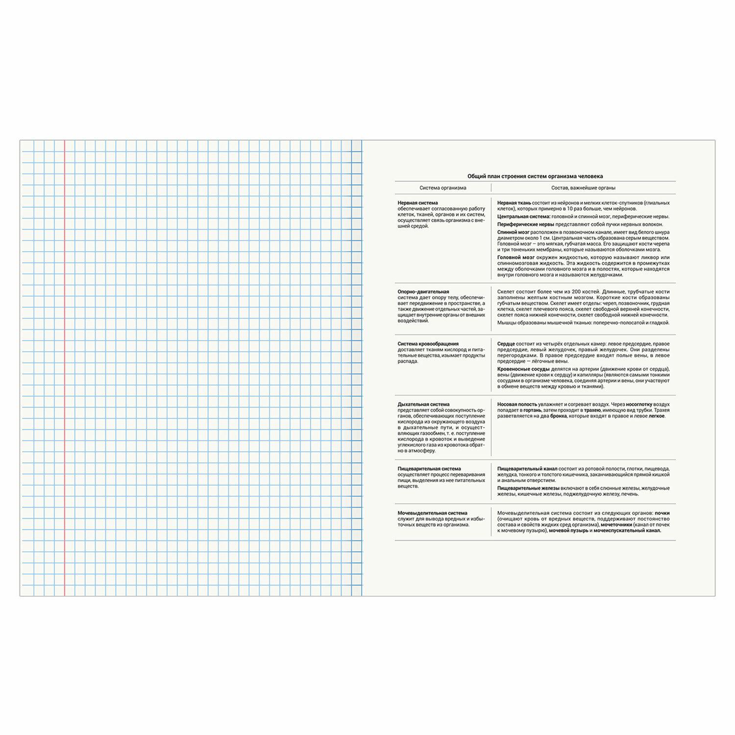    SCIENCE 48 .,  , , , , BRAUBERG, 404809
