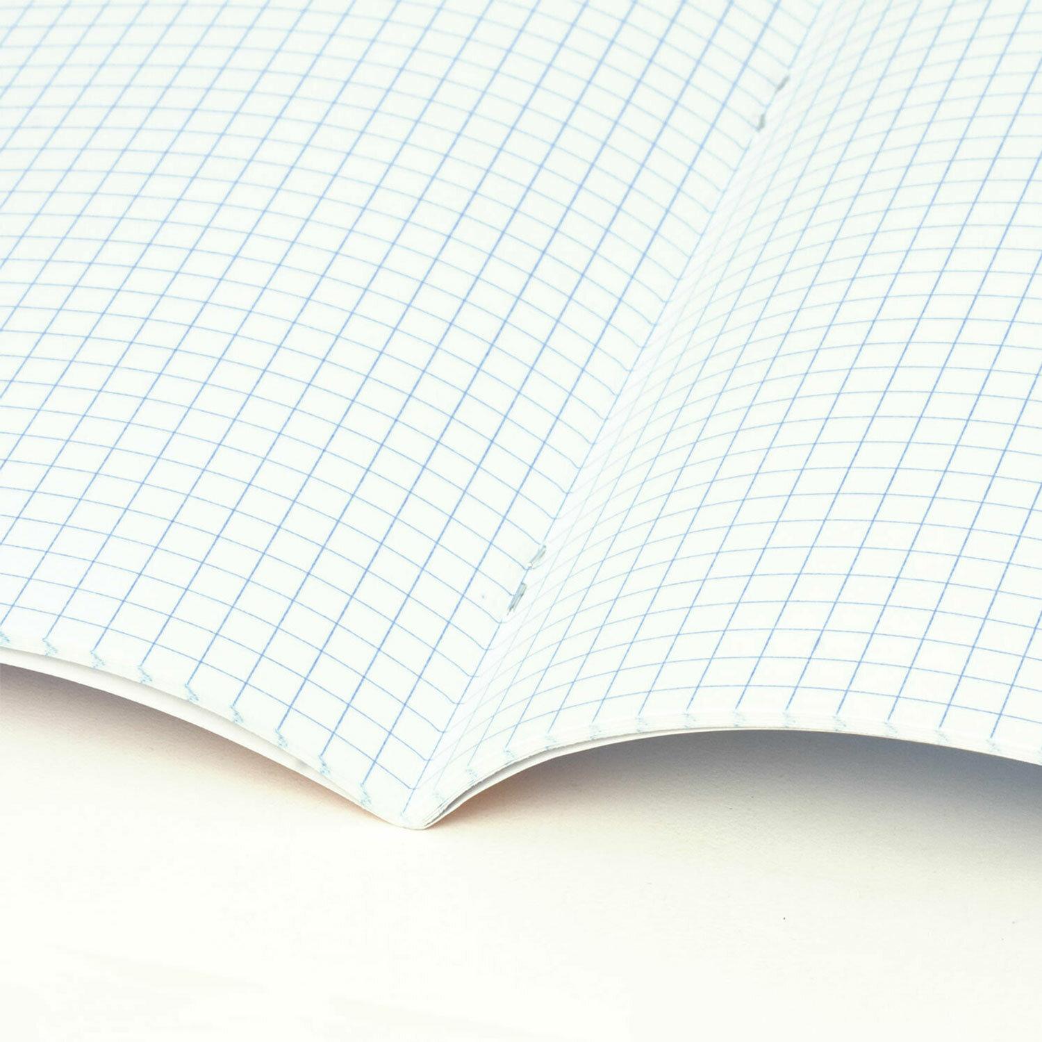     36 .,   , , , BRAUBERG, 404593
