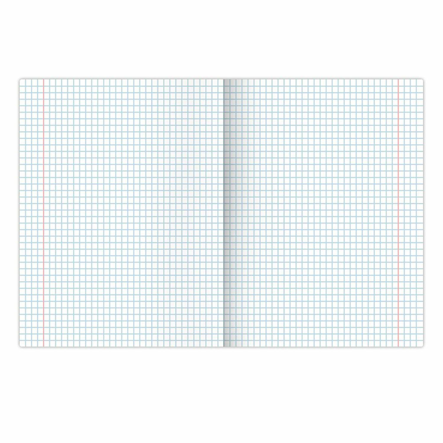     36 .,   , , , BRAUBERG, 404596
