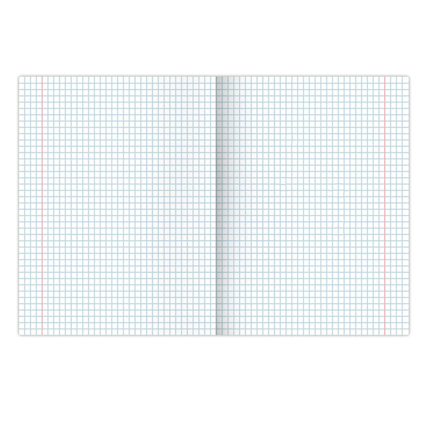     36 .,   , , , BRAUBERG, 404603