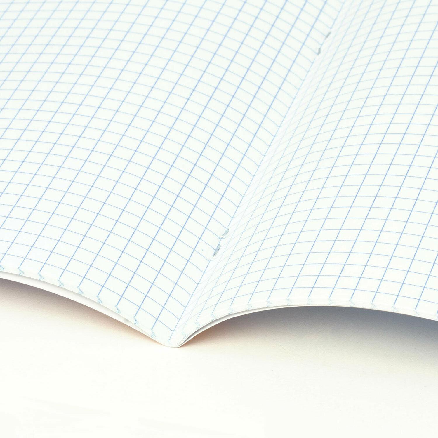     36 .,   , , , BRAUBERG, 404604