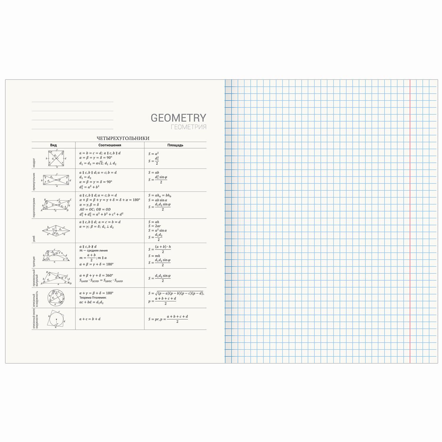    48 .,  , , , , BRAUBERG, 404775
