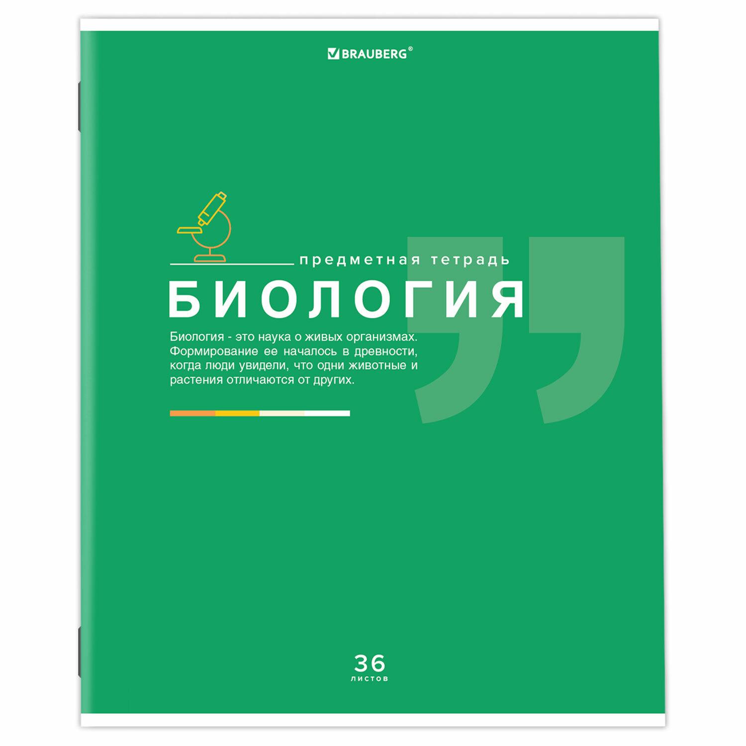    36 .,   , , , , BRAUBERG, 404822