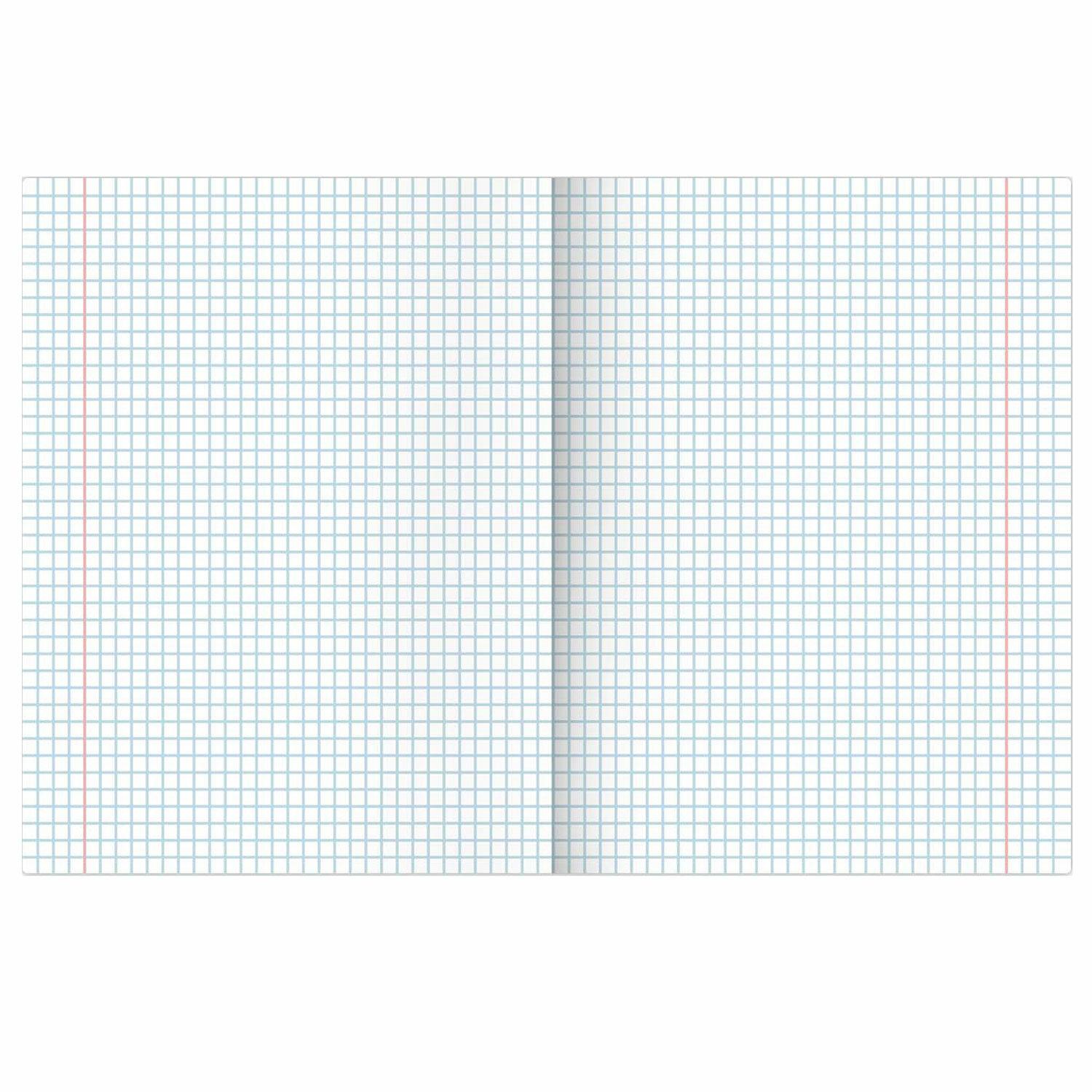    36 .,   , , , , BRAUBERG, 404823