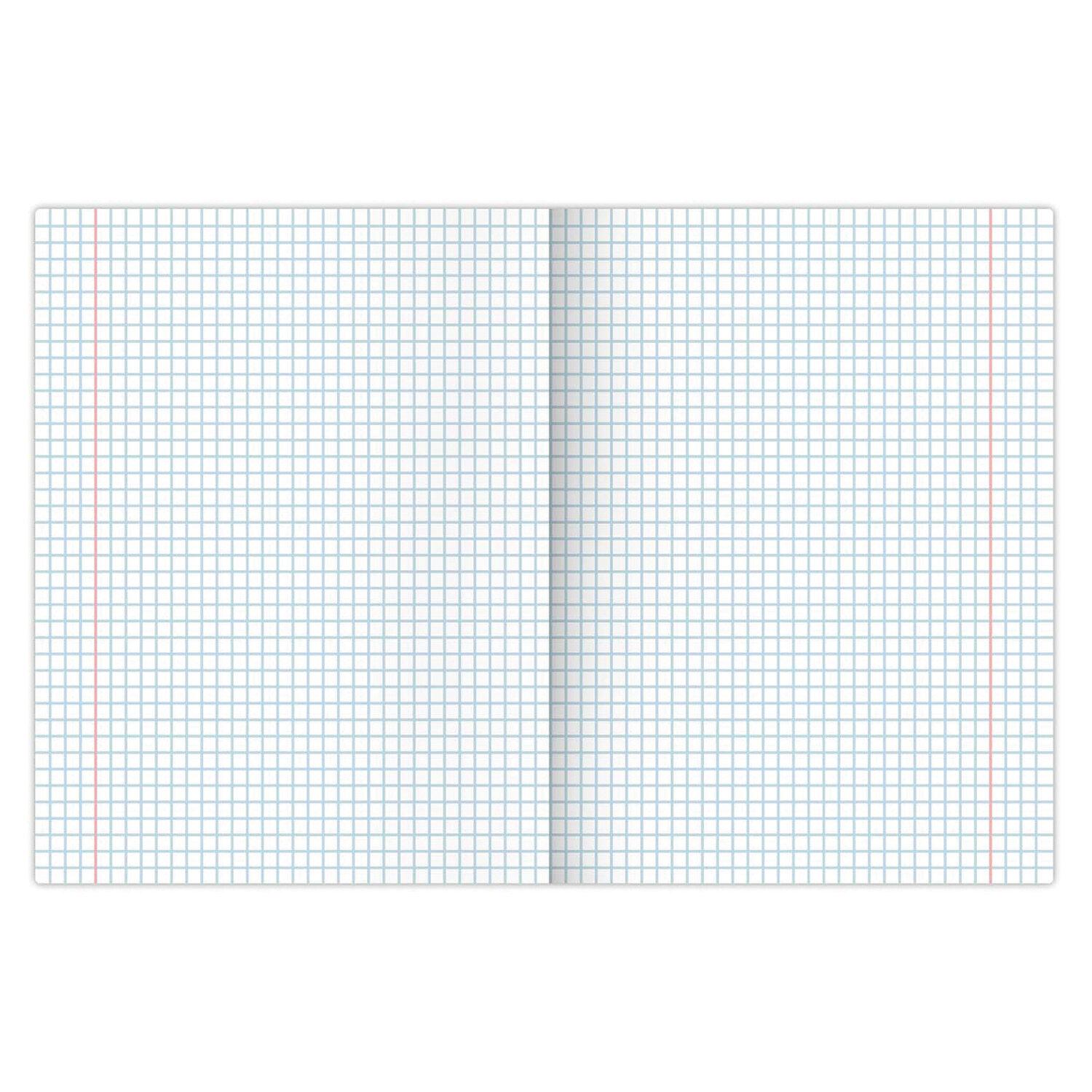  12 .  10 . BRAUBERG , ,  , , 106650