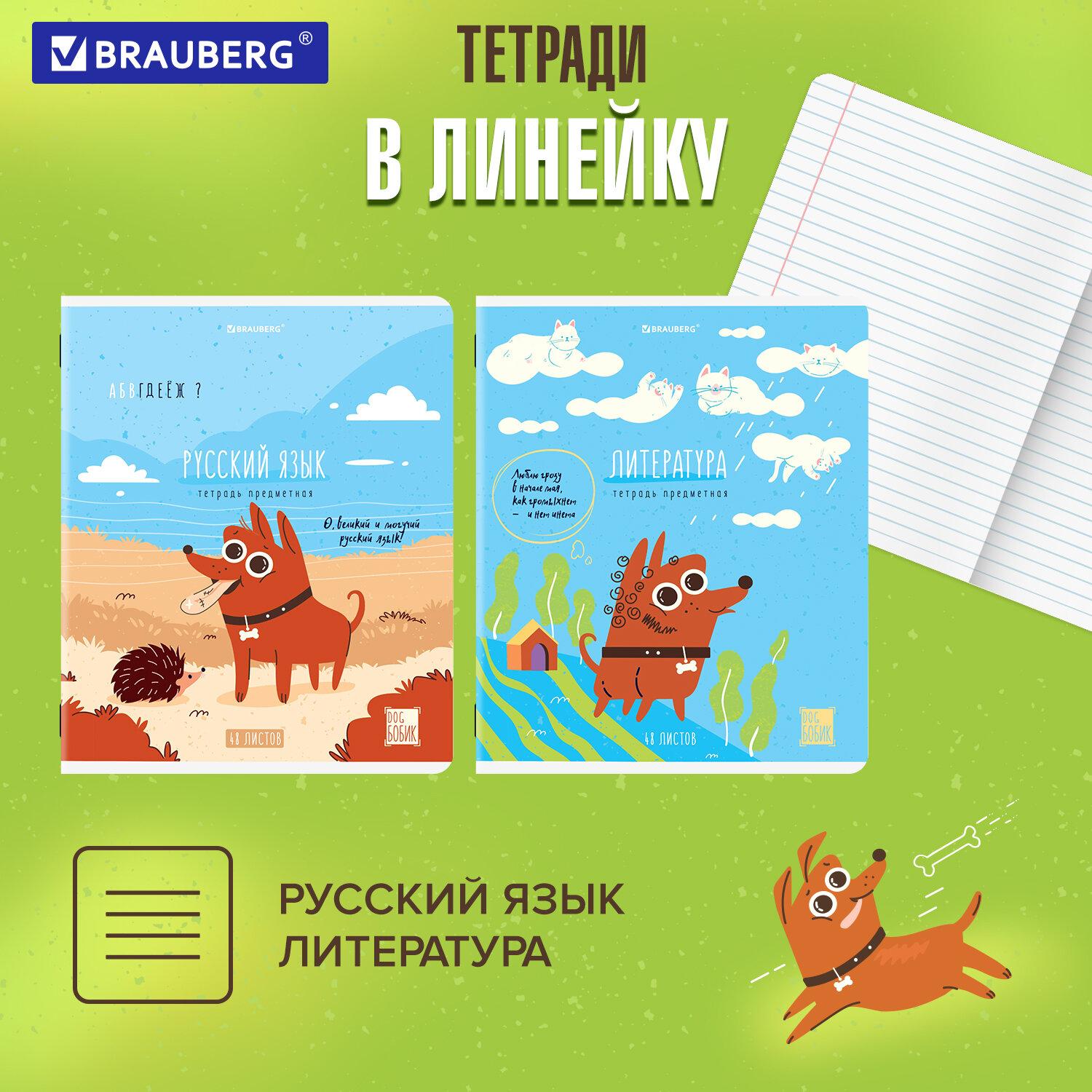  ,  12 , DOG , 48 ., TWIN-, BRAUBERG, 404840