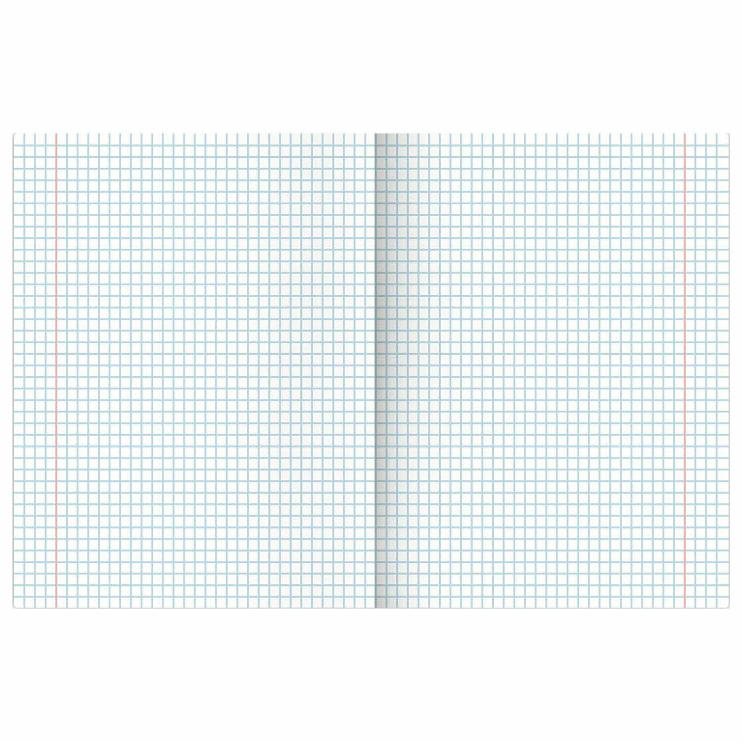 ,  13 , 36,   , BRAUBERG, , 405161