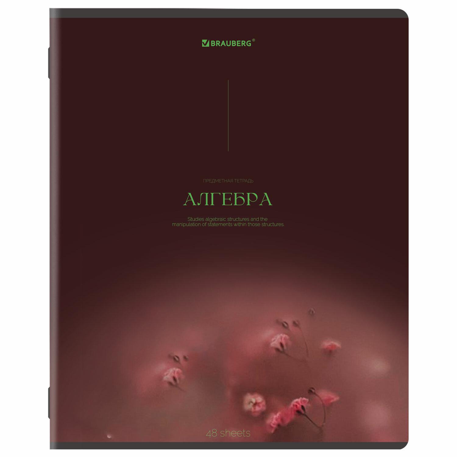  ,  13 , 48 ., SoftTouch, BRAUBERG PEACEFUL, 405182