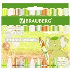 �������� ����� ���������� BRAUBERG, ����� 12 ������, 222966