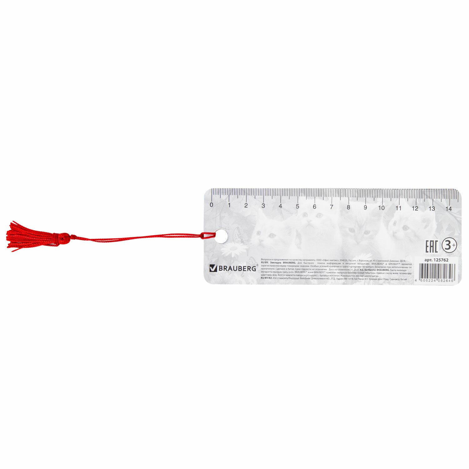    3D, BRAUBERG, , ,   -, 125762